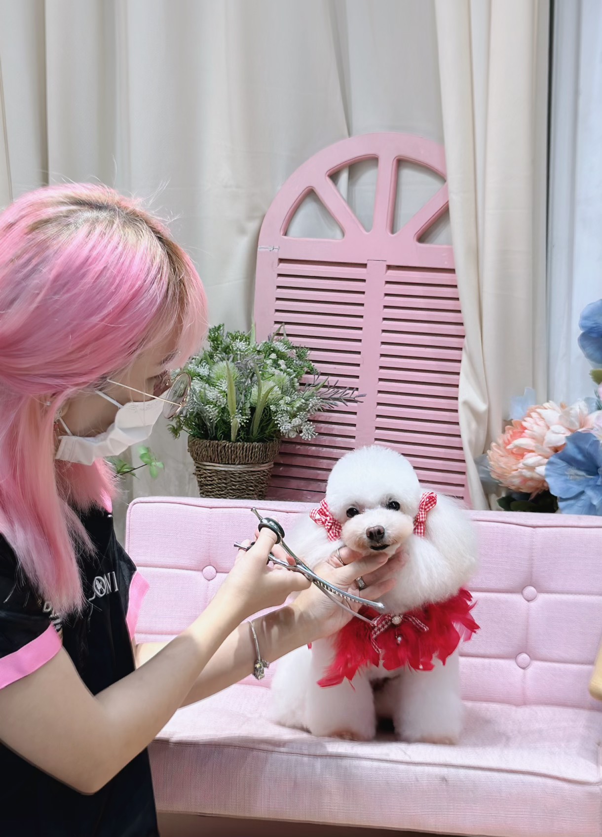 Dịch vụ spa chó mèo chuyên nghiệp tại Pet Idol