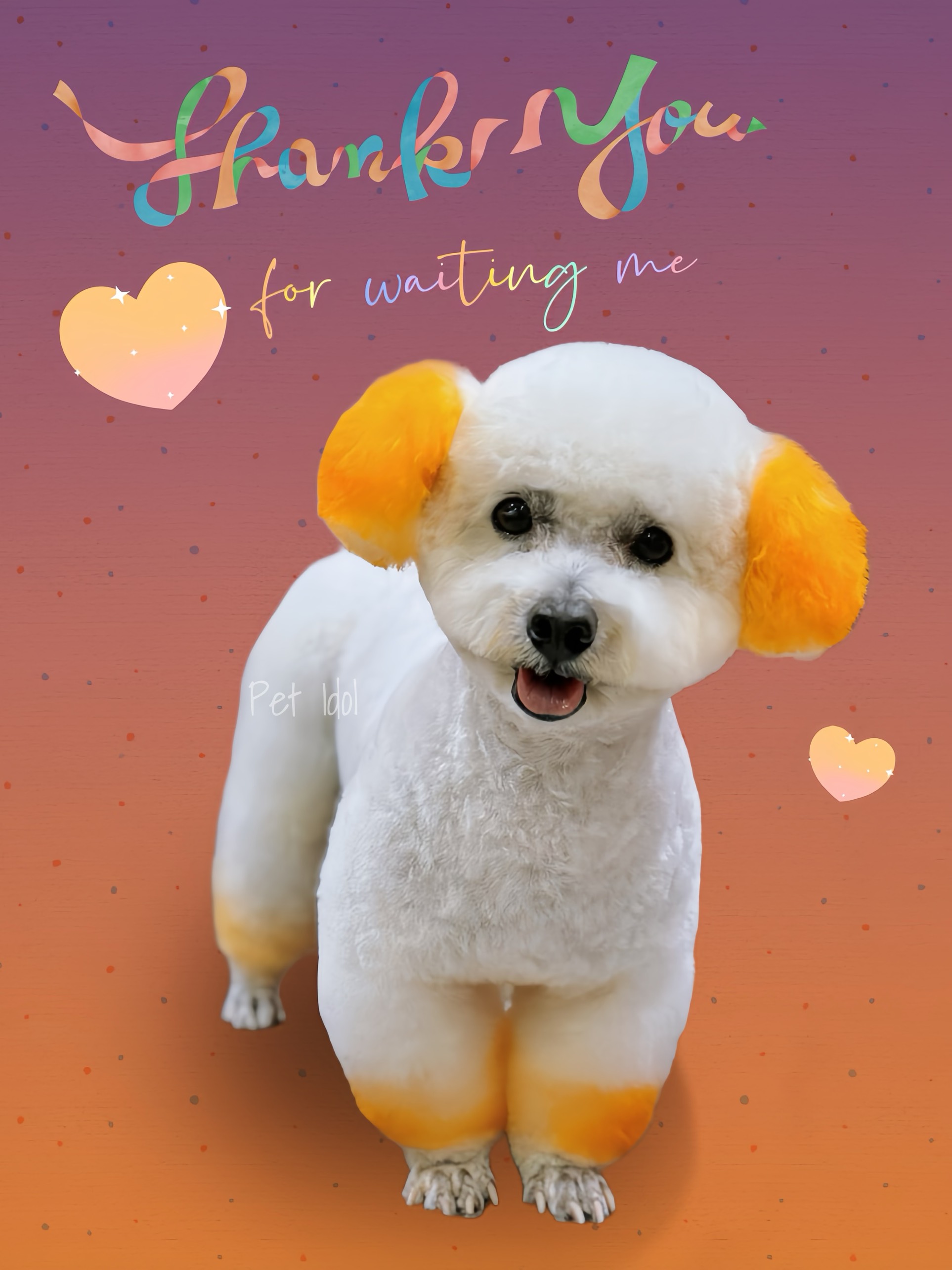 4 Nguyên nhân chính chó đi ngoài ra máu [2024]