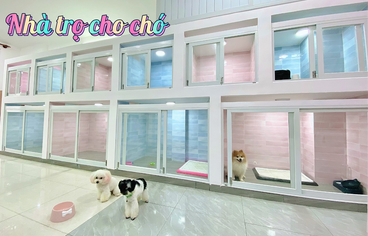 Khách sạn cho chó