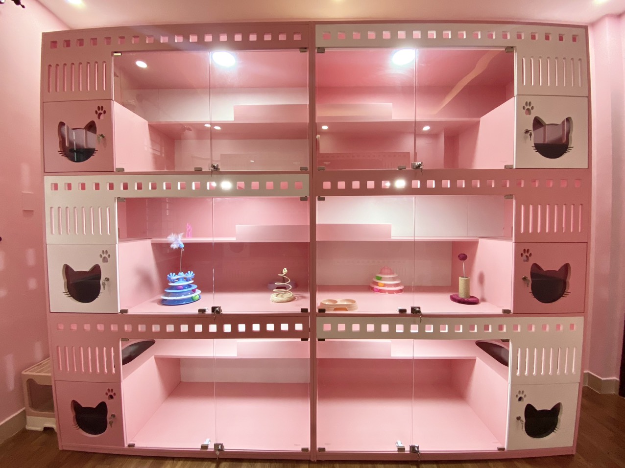 KHU VUI CHƠI CỦA MÈO