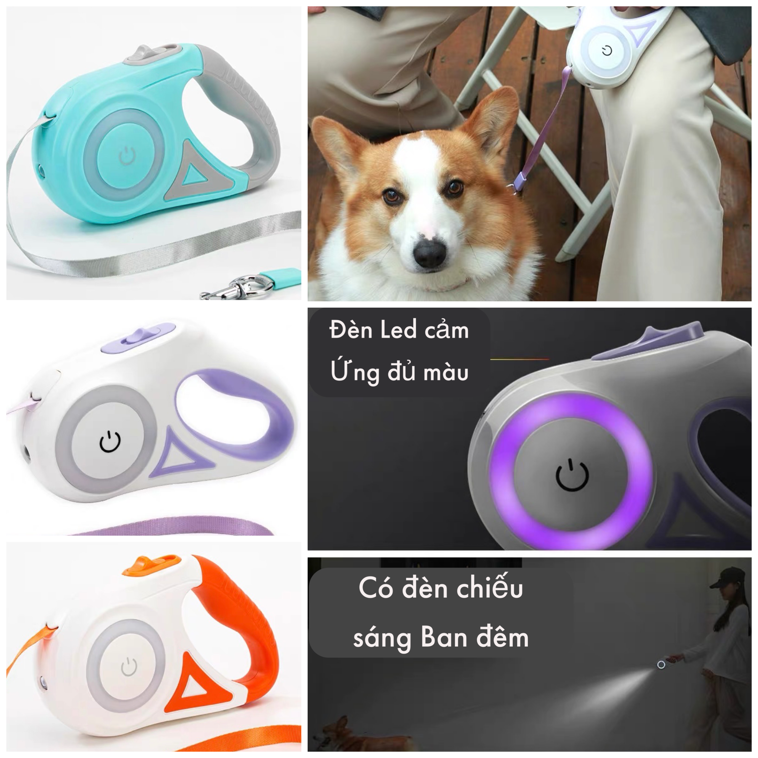 Dây dắt tự động cho chó