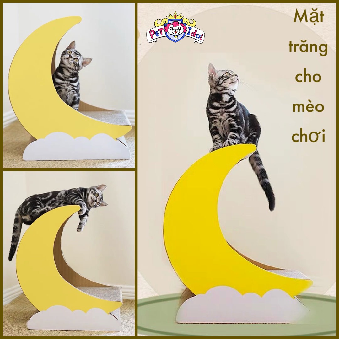 Mặt trăng trang trí đồ chơi cào móng cho mèo