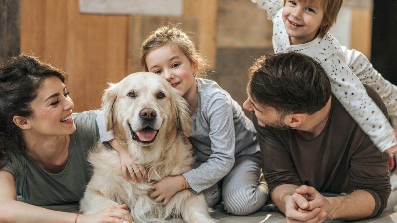 Những Lợi Ích Khi Nuôi Thú Cưng