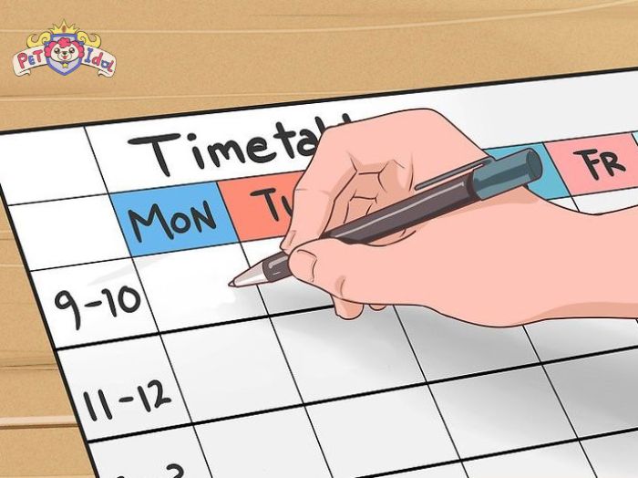 Lập thời gian biểu các bữa ăn cho chó